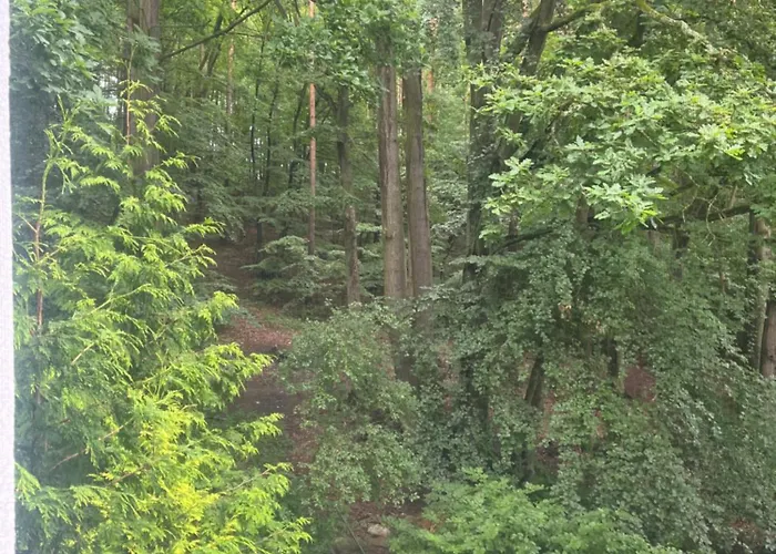 Przylesie 公寓 索波特